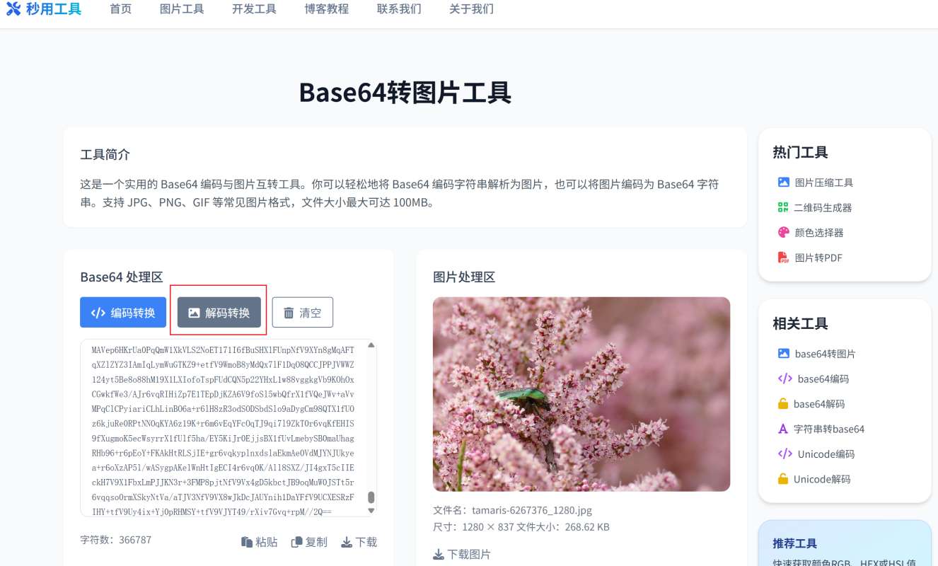 base64图片转换器网页版:快速在线将Base64编码转换为图片
